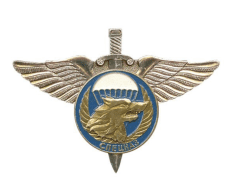 Знак Спецназ (волк) серия ВДВ (крылья и меч с эмбл.)