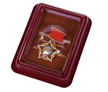 Знак Воину-Интернационалисту СССР (в футляре)