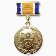 Медаль Академия ГПС МЧС России За вклад в общее дело