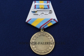Медаль Дружба Народов России