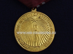 Медаль Игорь Александрович Моисеев