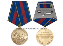 Медаль Миротворец (За участие в миротворческой деятельности на Кавказе)