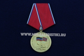 Медаль Слава Героям Донбасса и Новороссии