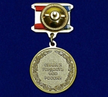 Медаль Ветеран ФСО Слава и Гордость ФСО России