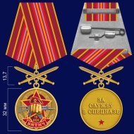 Медаль За службу в 15-ом ОСН "Вятич"