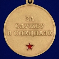 Медаль За службу в 25-м ОСН "Меркурий"