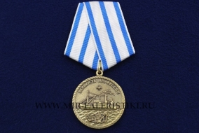 Медаль За Верность Профессии За Преданность Делу (Флот)