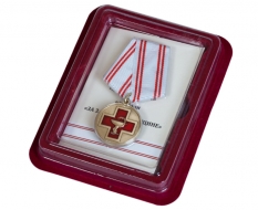 Медаль За Заслуги в Медицине (в футляре с удостоверением снизу)