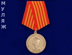 Медаль Жуков 1896-1996