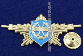 Нагрудный Знак ВВС Рота Почетного Караула