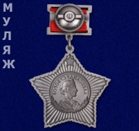 Орден Суворова 1 степени на колодке (муляж)