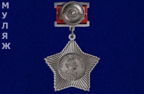 Орден Суворова 3 степени на колодке (муляж)