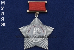 Орден Суворова на колодке 3 степени (муляж улучшенного качества)