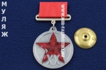 Медаль 20 лет РККА прямоугольная колодка (муляж улучшенного качества)