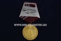 Медаль Игорь Александрович Моисеев