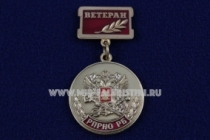 Медаль РПРНО РБ Ветеран