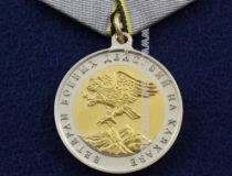 Медаль Ветеран Боевых Действий на Кавказе
