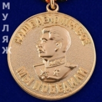 Медаль За Победу над Германией (муляж)