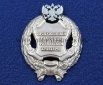Наградной Знак Заслуженный Работник Физической Культуры РФ (памятный муляж)