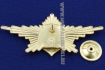 Нагрудный Знак ВВС Рота Почетного Караула