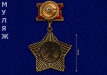 Орден Суворова 2 степени на колодке (муляж)