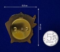 Юбилейный Знак 100 Лет Советской Армии и Флота
