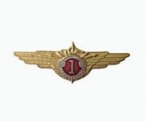 Знак 1 Класс ГФС