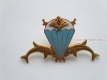 ЗНАК БОЕВЫЕ ПЛОВЦЫ ВС РФ (дельфины)