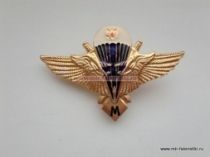 ЗНАК КЛАССНОСТЬ ВДВ МАСТЕР