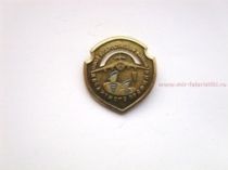 ЗНАК СОЮЗ ПОДРОСТКОВЫХ КЛУБОВ ДЕСАНТНОГО ПРОФИЛЯ