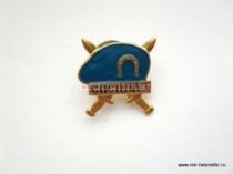 ЗНАК СПЕЦНАЗ ГОЛУБОЙ БЕРЕТ