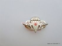 ЗНАК ВДВ со звездой