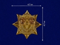 Знак ВДВ Звезда (на пимсе)