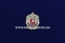 ЗНАК ВОЕННЫЕ КОМИССАРИАТЫ 95 ЛЕТ (1)