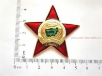 Знак Звезда Ветеран Афганской Войны