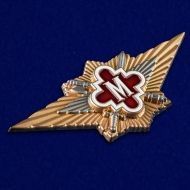 Нагрудный знак ФСИН "Мастер"