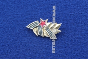 Знак 9 Мая СССР (лавровая ветвь и георгиевская лента)