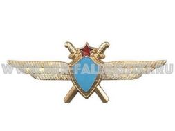 ЗНАК КЛАССНОСТЬ ВВС ОБЩАЯ