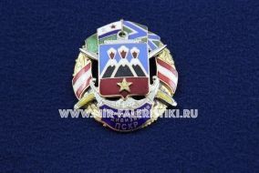 Знак Краснознаменная Дивизия ПСКР 1945