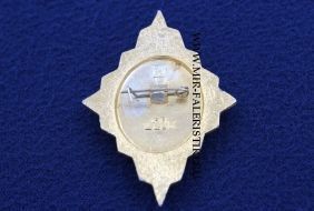 Знак Отличник ВДПО
