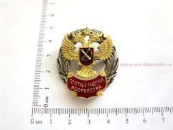 ЗНАК ПОЧЕТНЫЙ РАБОТНИК РОСРЕЕСТРА