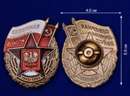 Знак СГВ 1945-1993 (Северная Группа Войск)