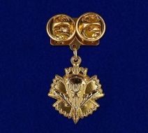 Знак Военная Разведка ВДВ (металлическая колодка)