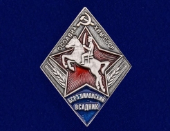 Знак Ворошиловский Всадник Осоавиахим СССР (на винте)