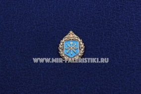 Знак ВУНЦ Военно-воздушная академия имени профессора Жуковского и Гагарина