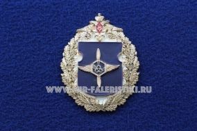 Знак ВВС РХБЗ